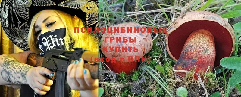 Галлюциногенные грибы Magic Shrooms  закладка  Полевской 